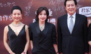 演员唐国强简历 演员唐国强简历