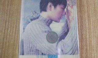 直觉张信哲 直觉张信哲