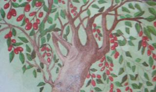 小柳树和小枣树 小柳树和小枣树