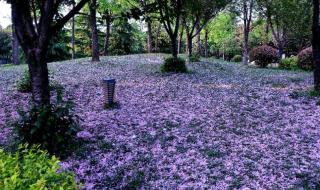 西安休闲娱乐场所 西安休闲娱乐场所