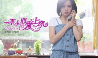 电视剧一不小心爱上你