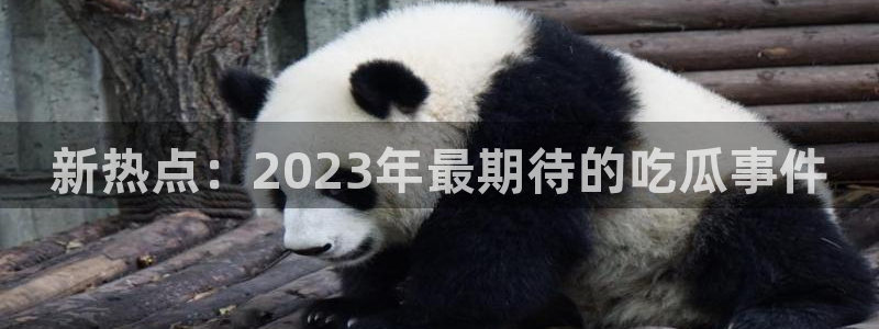 娱乐吃瓜热点汇总