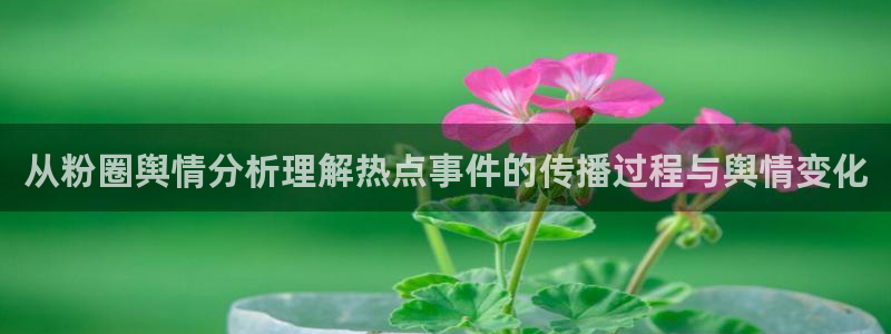 独家吃瓜热点汇总