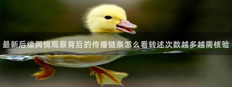 热门吃瓜公开回应