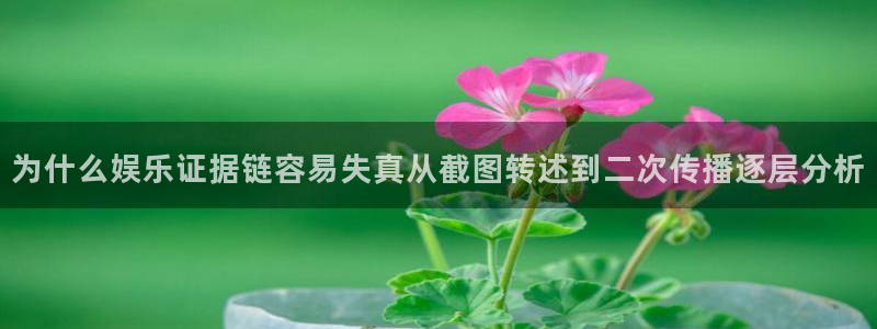 网络热点热点汇总