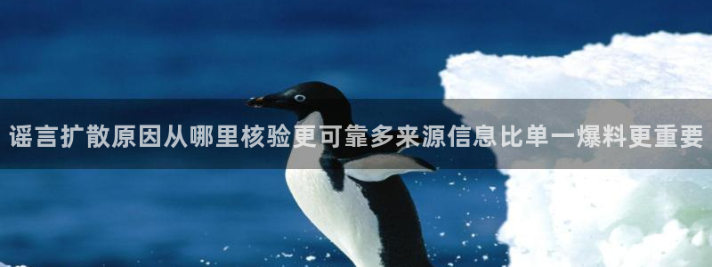 网络热点热点汇总