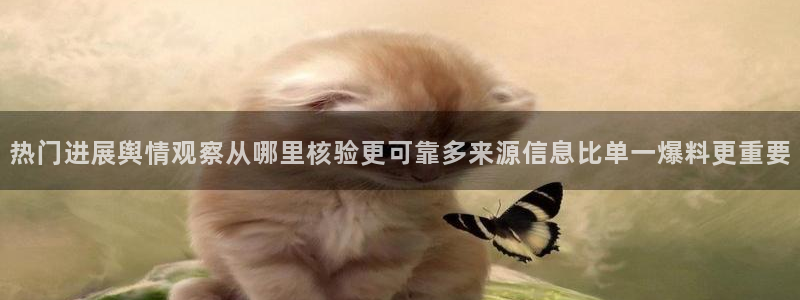 社会热点原始出处