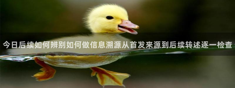 吃瓜新闻来源梳理
