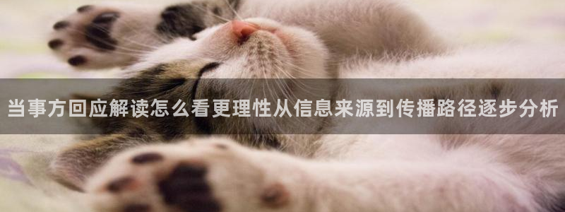 网络热点公开回应