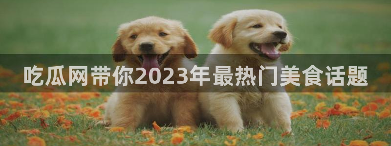 网红吃瓜完整时间线