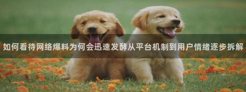 热门吃瓜今日更新