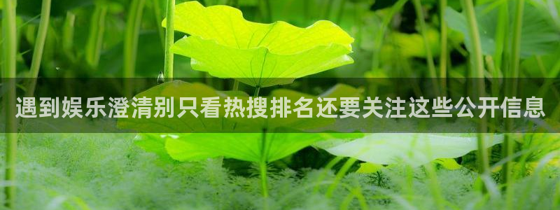 吃瓜新闻热点汇总